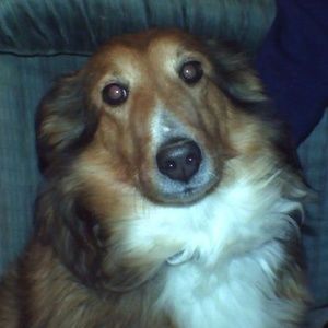 Meet your Posher, Danette